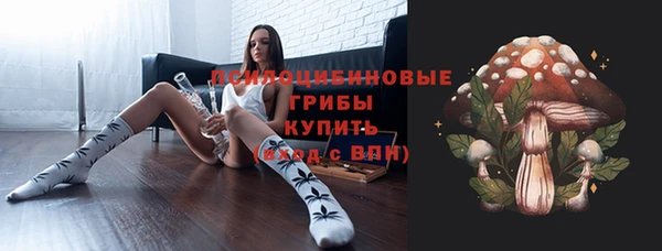 стаф Белоозёрский