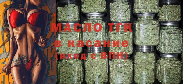 индика Няндома